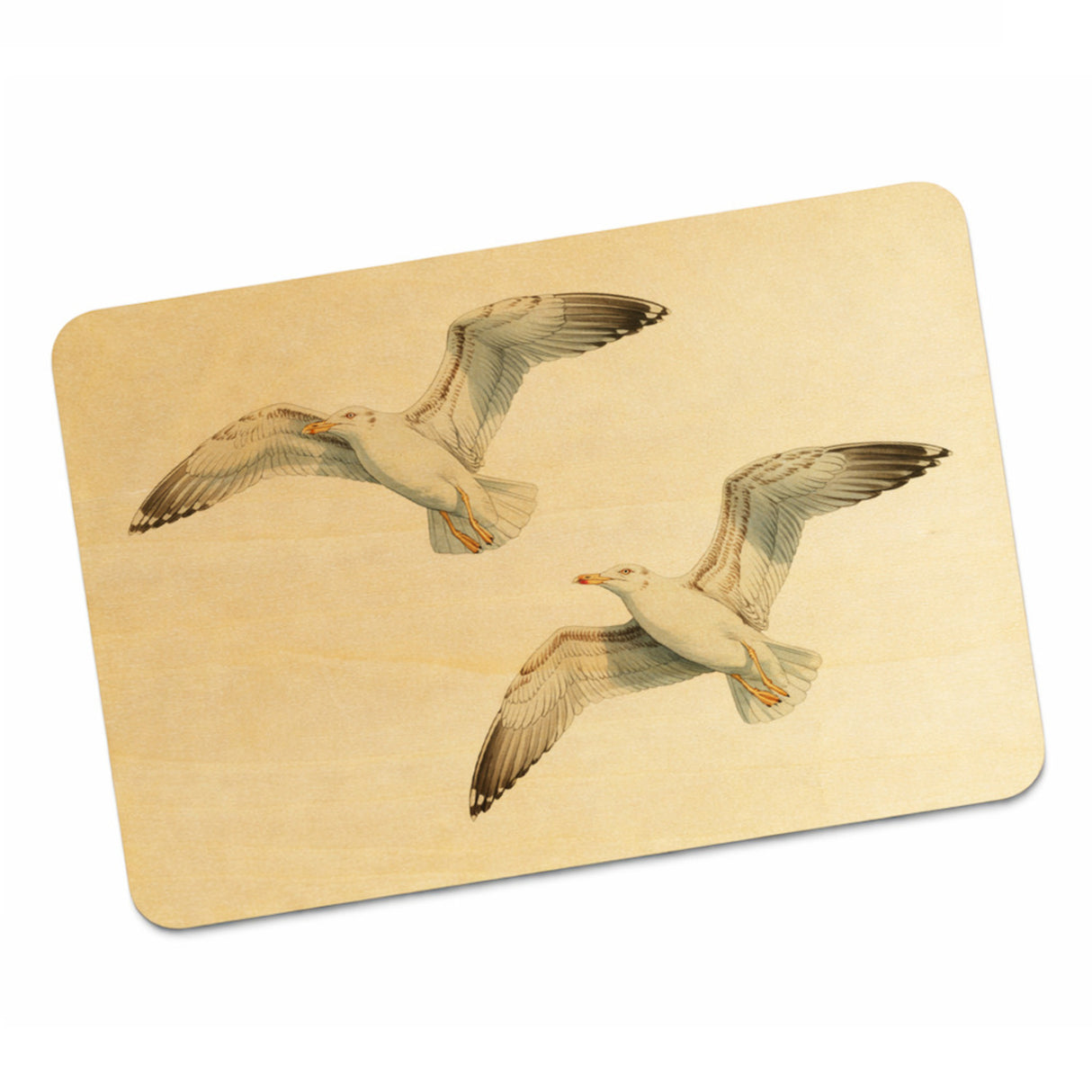 Möwen im Flug Postkarte aus Holz maritim