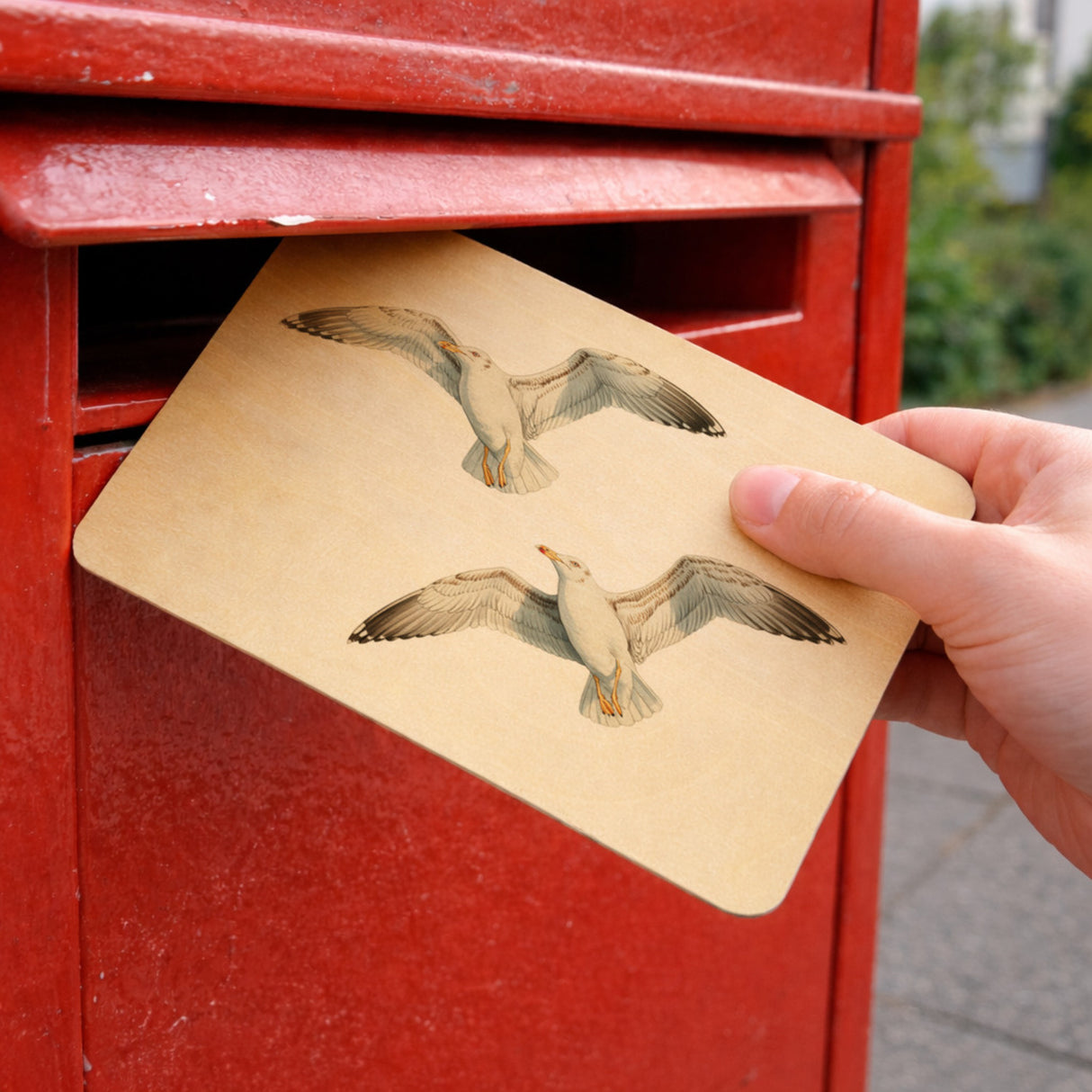 Möwen im Flug Postkarte aus Holz maritim