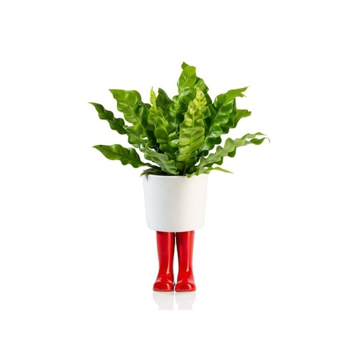 Gummistiefel Mini Blumentopf in rot