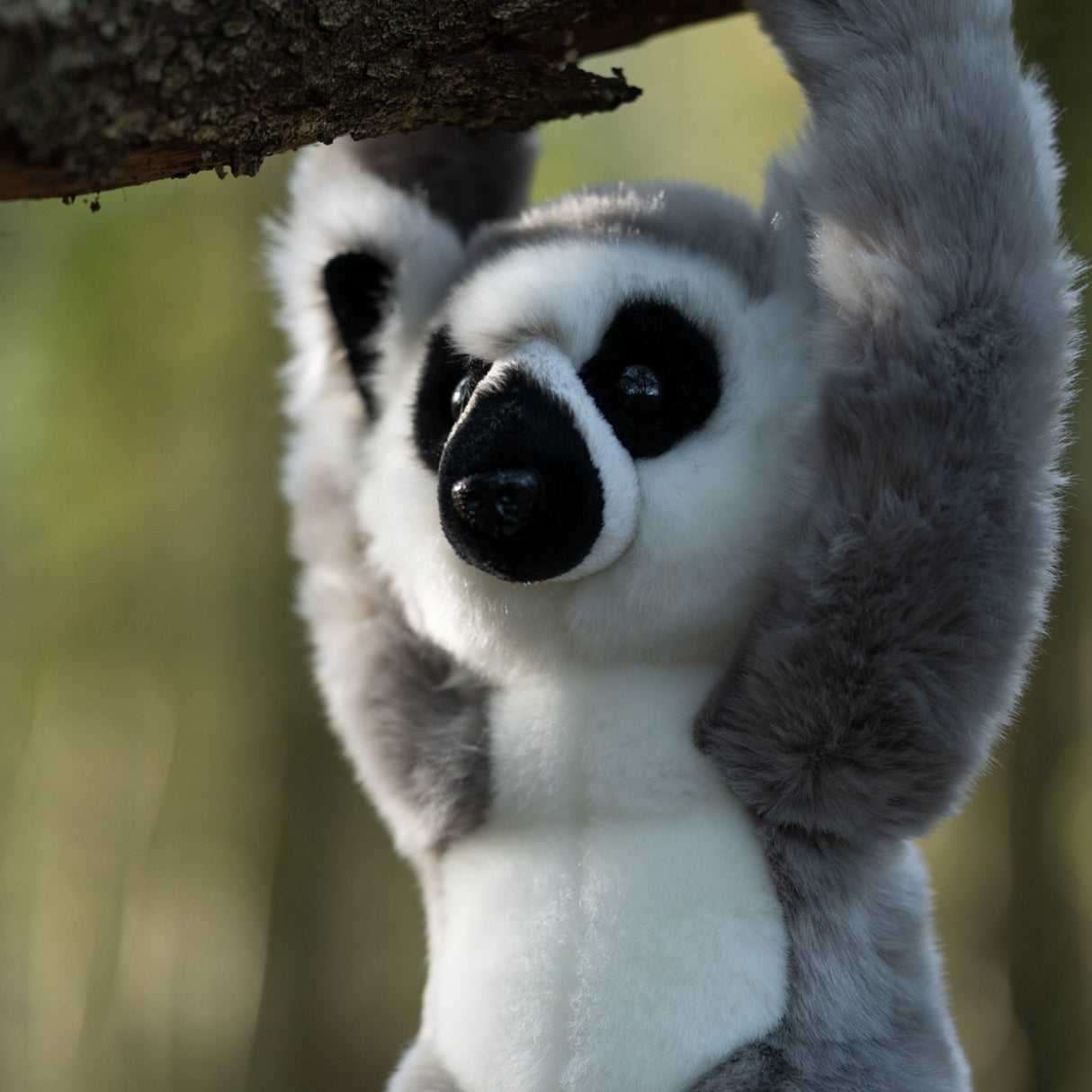 Lemur Animigos Kuscheltier