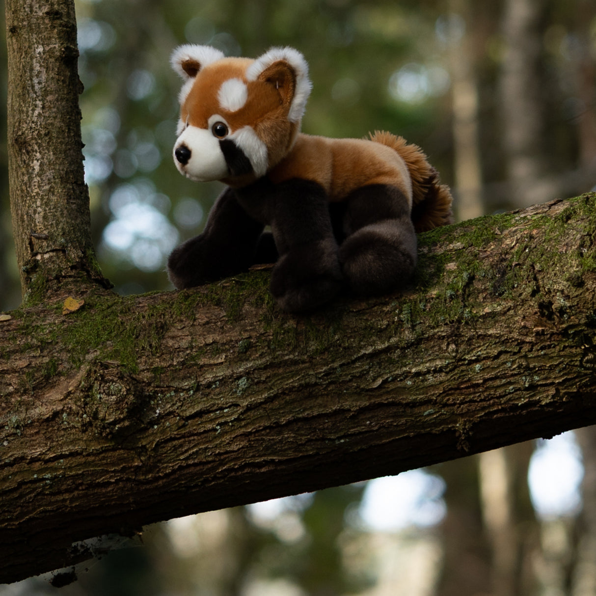 Roter Panda Animigos Kuscheltier