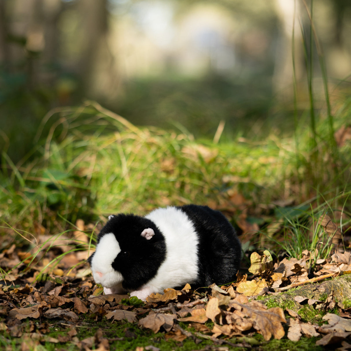 Meerschweinchen Animigos Kuscheltier in schwarz-weiß