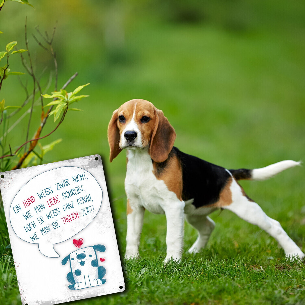 Metallschild mit Spruch: Ein Hund zeigt täglich seine Liebe