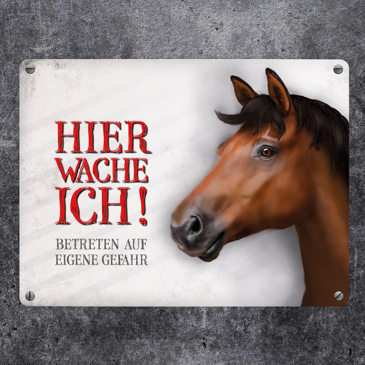 Metallschild mit Pferd Motiv und Spruch: Betreten auf eigene Gefahr - Koppelschild, Warnschild