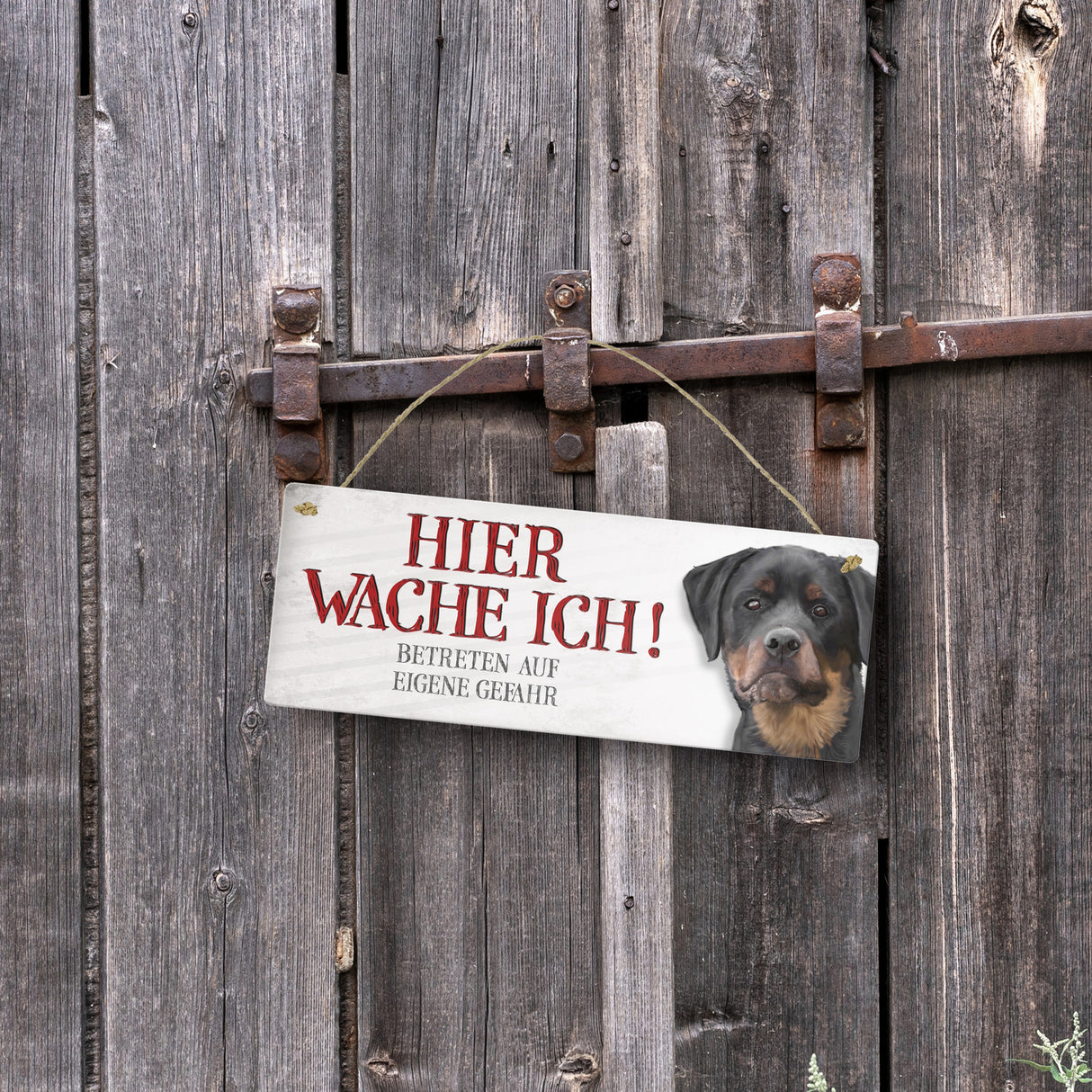 Metallschild mit Rottweiler Motiv und Spruch: Betreten auf eigene Gefahr ...