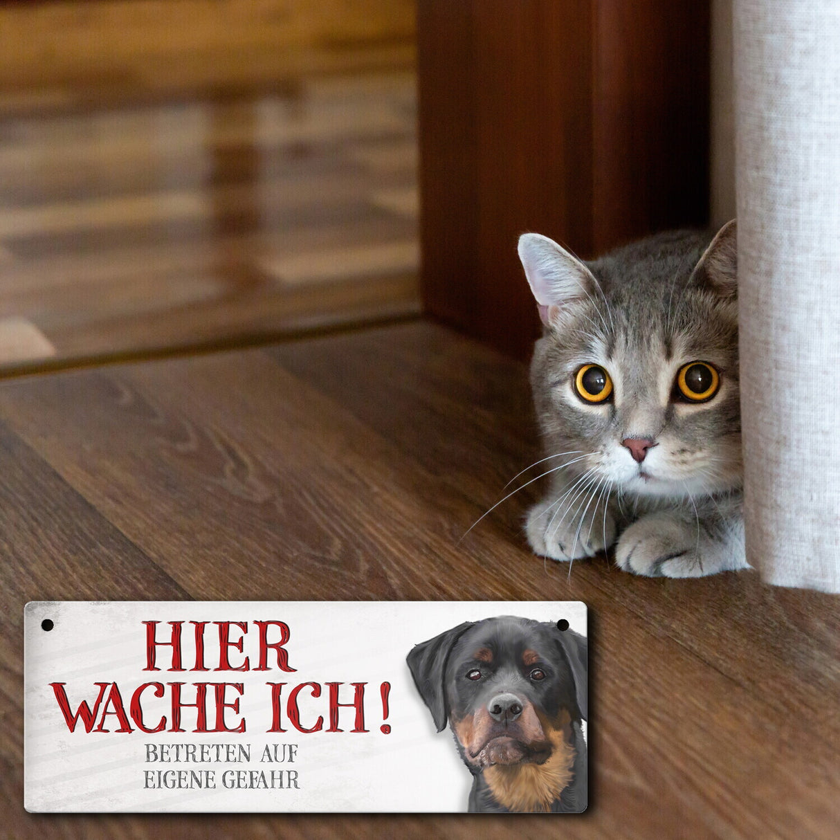 Metallschild mit Rottweiler Motiv und Spruch: Betreten auf eigene Gefahr ...