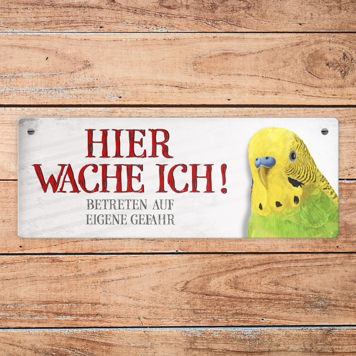 Metallschild mit Wellensittich Motiv und Spruch: Betreten auf eigene Gefahr ...