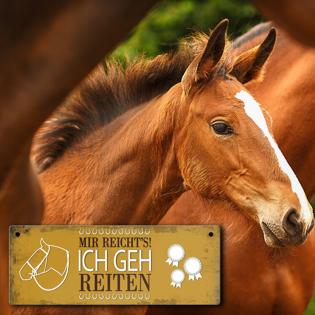 Metallschild mit Spruch: Mir reichts! Ich geh reiten