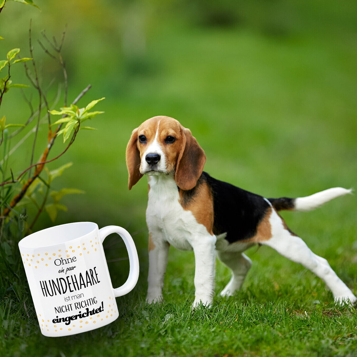 Ohne ein paar Hundehaare ist man nicht richtig eingerichtet! Kaffeebecher
