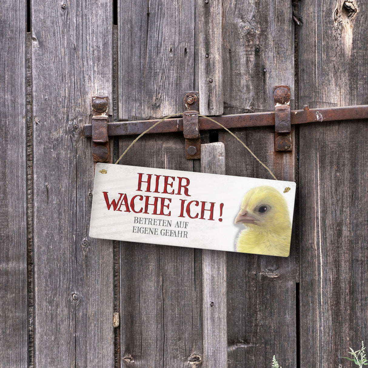Metallschild mit Küken Motiv und Spruch: Betreten auf eigene Gefahr ...