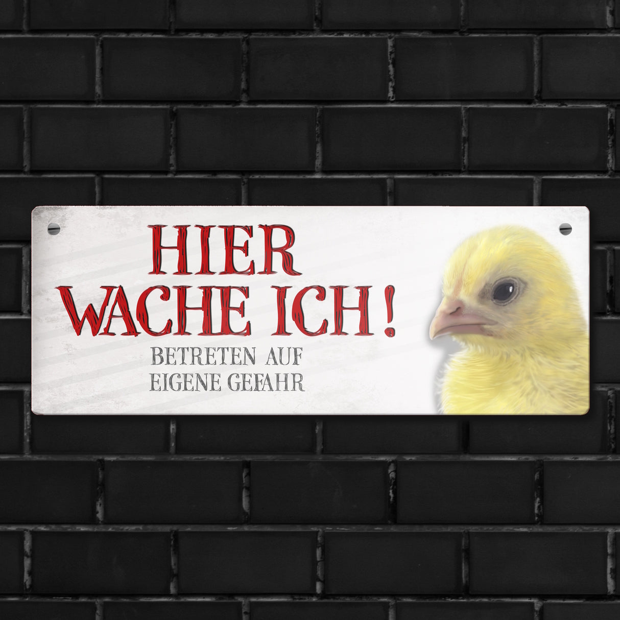 Metallschild mit Küken Motiv und Spruch: Betreten auf eigene Gefahr ...