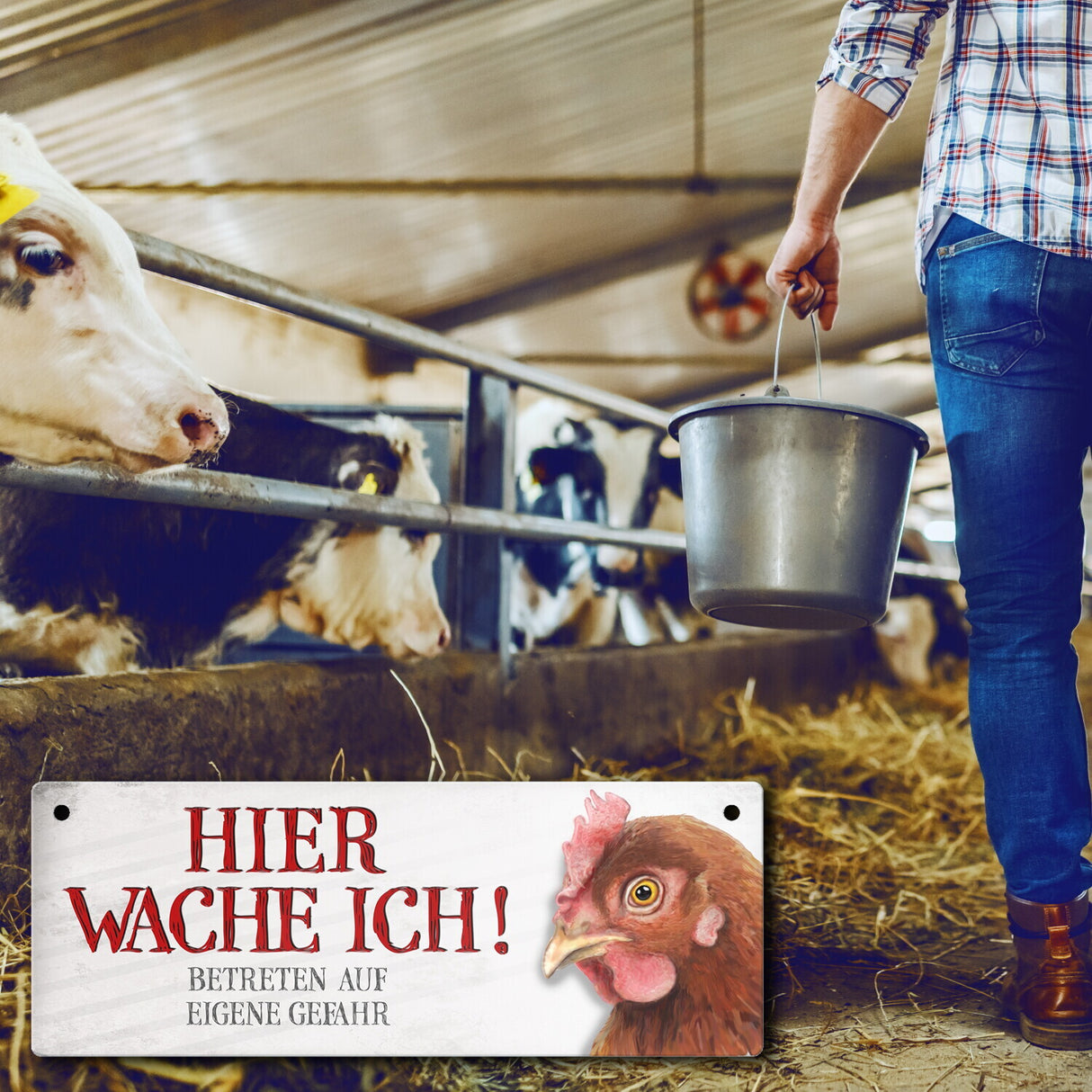 Metallschild mit Huhn Motiv und Spruch: Betreten auf eigene Gefahr ...