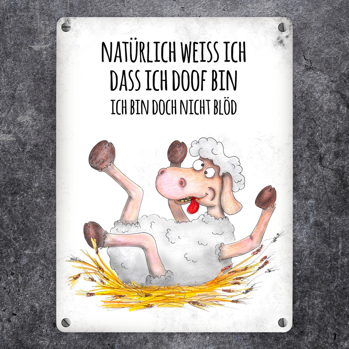 Metallschild mit Schaf Motiv und Spruch: Natürlich weiß ich, dass ich doof ...