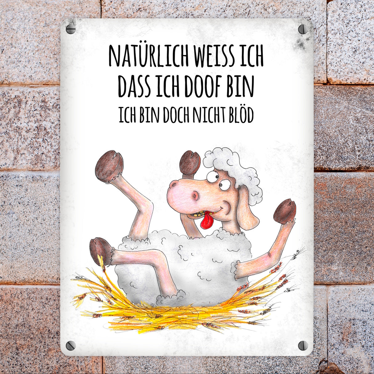 Metallschild mit Schaf Motiv und Spruch: Natürlich weiß ich, dass ich doof ...