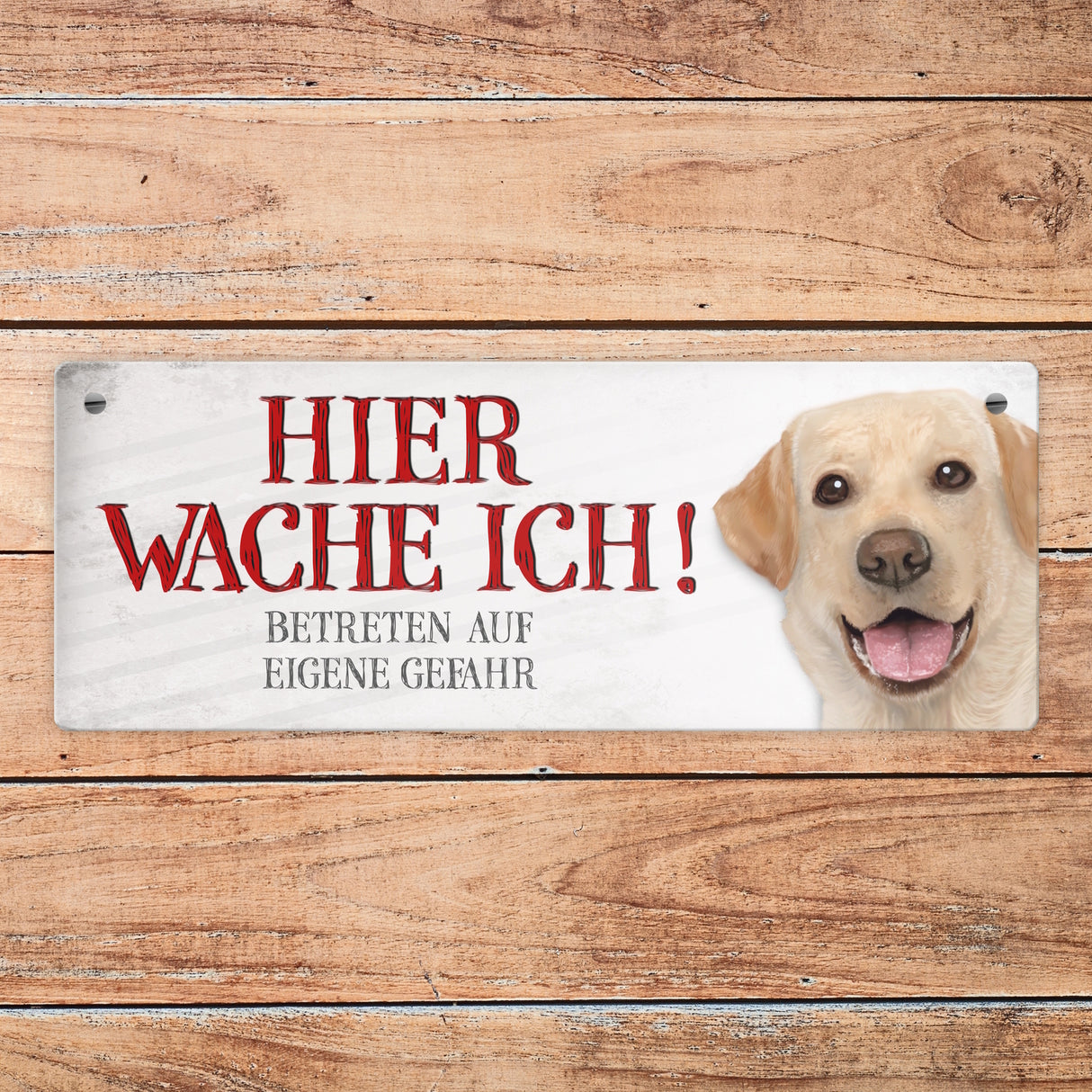 Metallschild mit Labrador Motiv und Spruch: Betreten auf eigene Gefahr ...