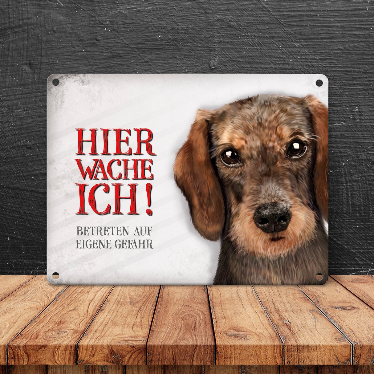 Metallschild mit Dackel Motiv und Spruch: Betreten auf eigene Gefahr ...