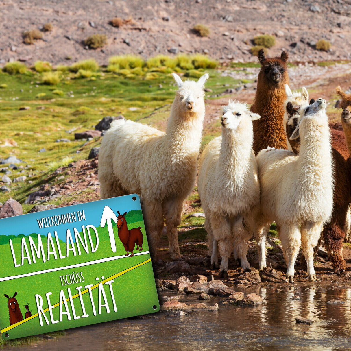 Metallschild mit Lama Motiv und Spruch: Willkommen im Lamaland