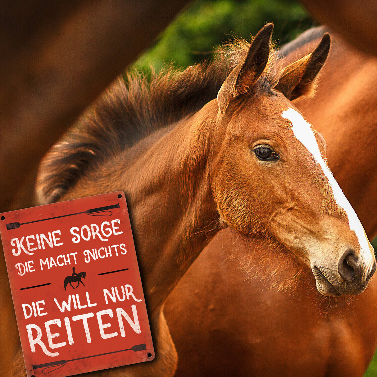 Metallschild mit Reiter Motiv und Spruch: Keine Sorge, die macht nichts. ...
