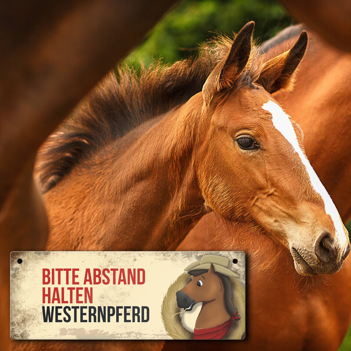 Metallschild mit braunem Westernpferd Motiv und Spruch: Bitte Abstand halten