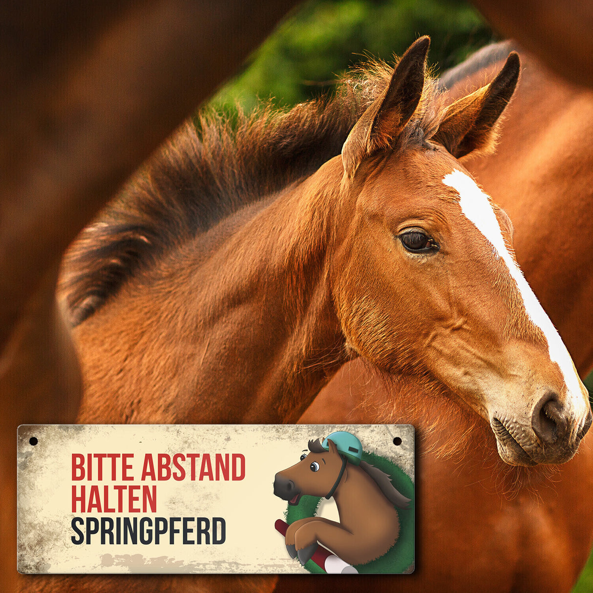 Metallschild mit braunem Springpferd Motiv und Spruch: Bitte Abstand halten
