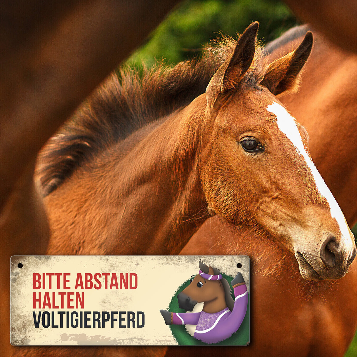 Metallschild mit braunem Voltigierpferd Motiv und Spruch: Bitte Abstand halten