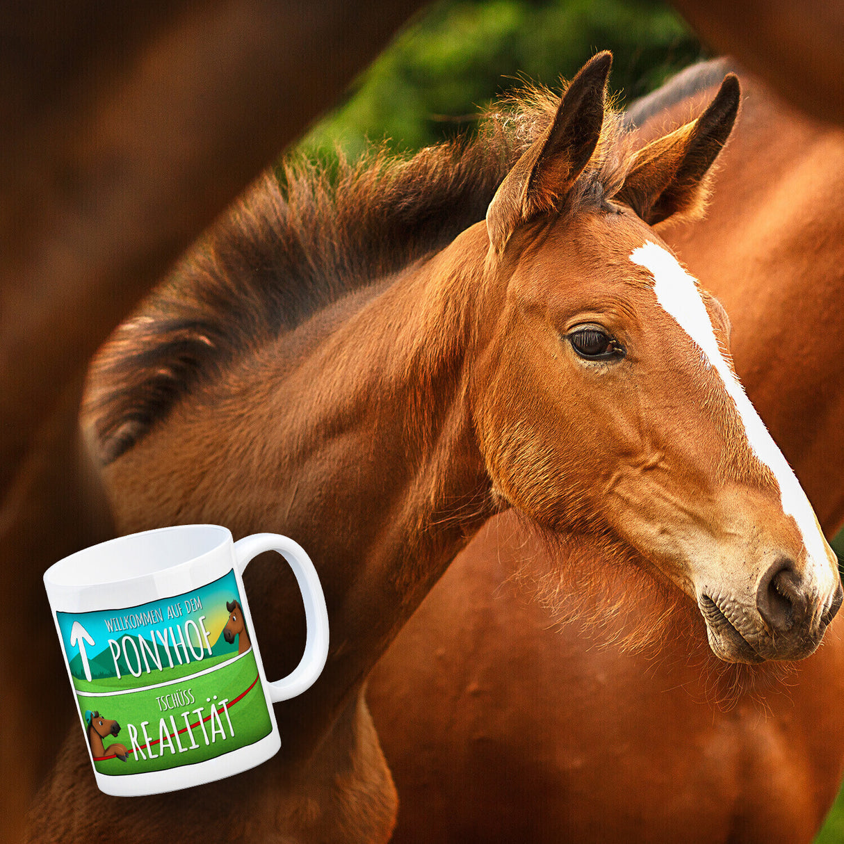 Willkommen auf dem Ponyhof... Kaffeebecher