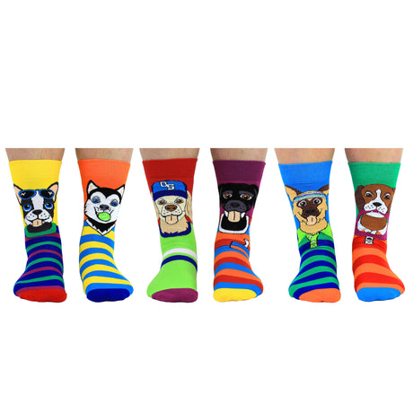 Go Mutts! Hunde Oddsocks Socken in 39-46 im 6er Set