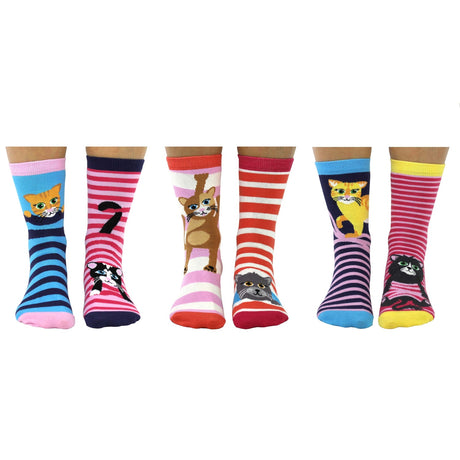 Feline Good Katzen Oddsocks Socken in 37-42 im 6er Set