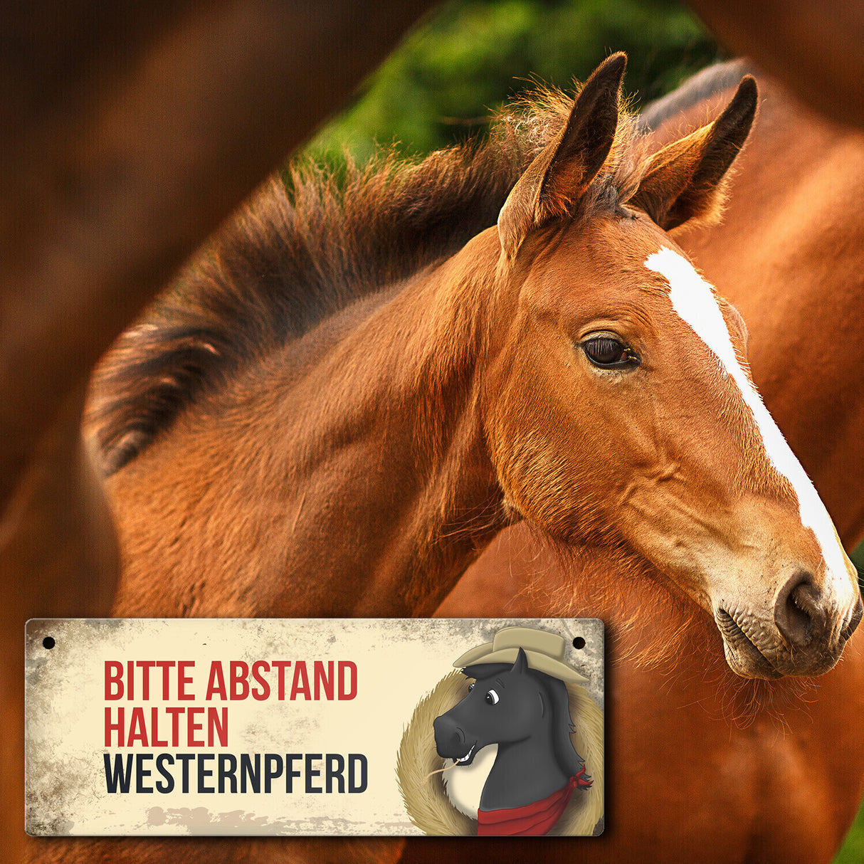 Metallschild mit schwarzem Westernpferd Motiv und Spruch: Bitte Abstand halten