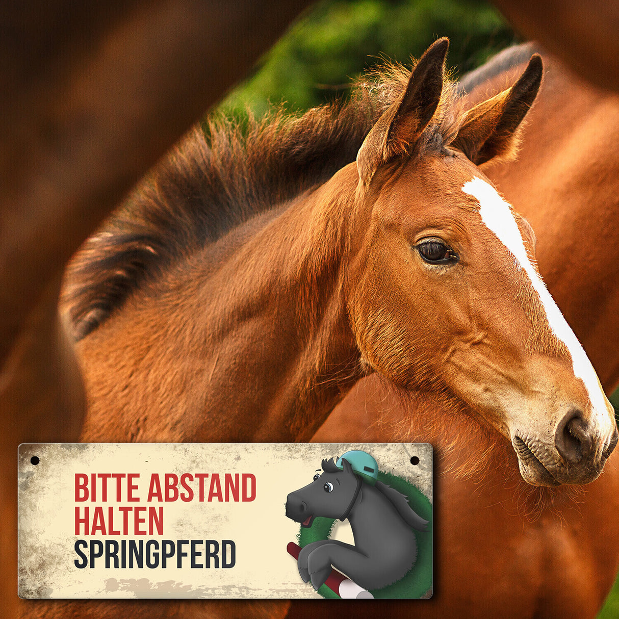 Metallschild mit schwarzem Springpferd Motiv und Spruch: Bitte Abstand halten