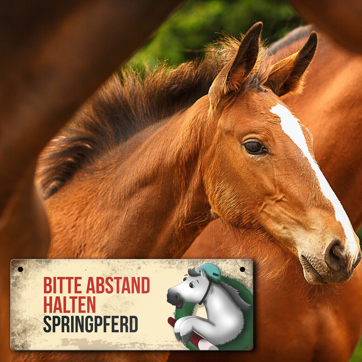 Metallschild mit weißem Springpferd Motiv und Spruch: Bitte Abstand halten