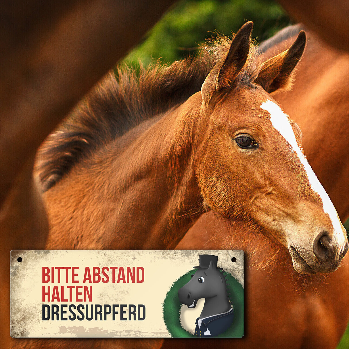 Metallschild mit schwarzem Dressurpferd Motiv und Spruch: Bitte Abstand halten