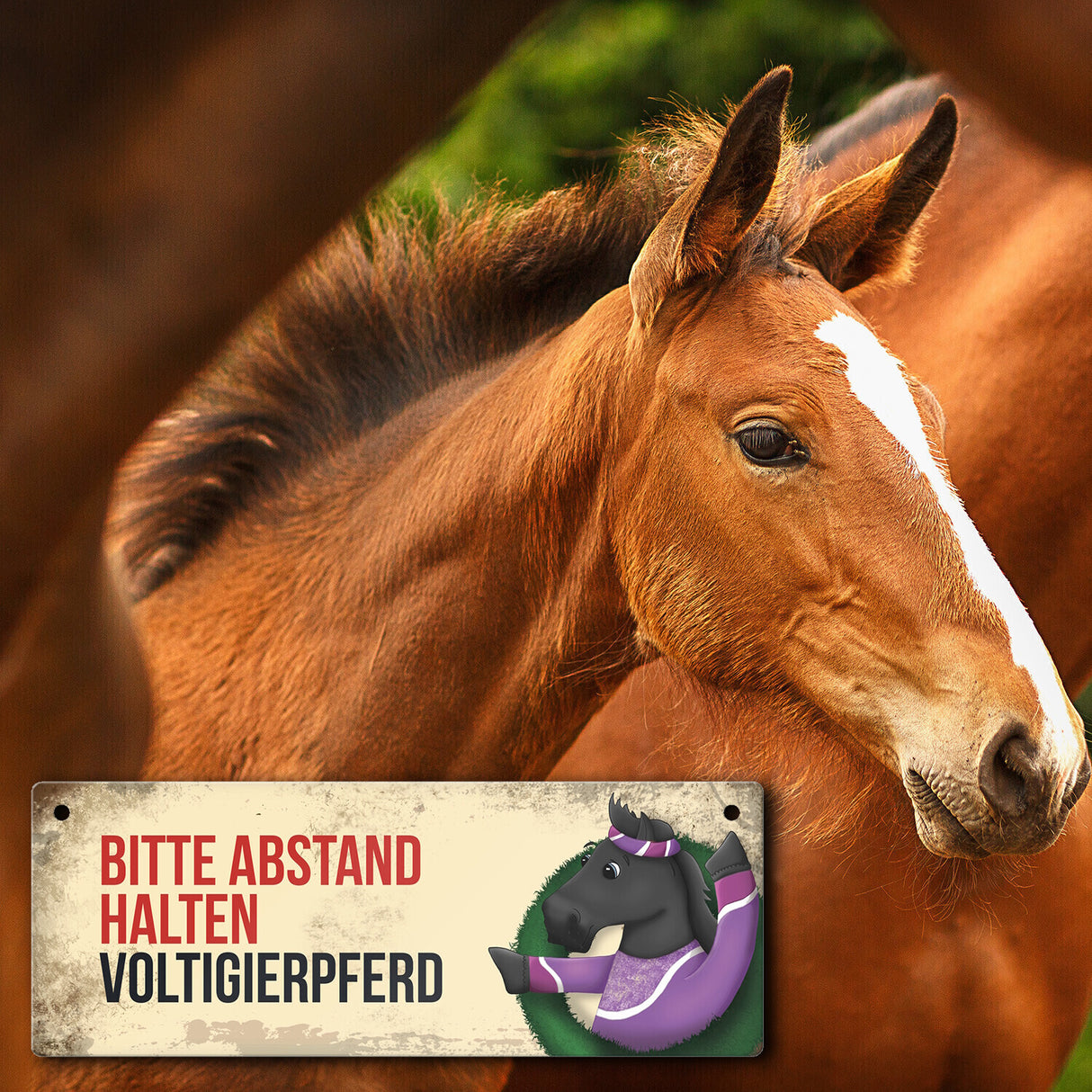 Metallschild mit schwarzem Voltigierpferd Motiv und Spruch: Bitte Abstand halten