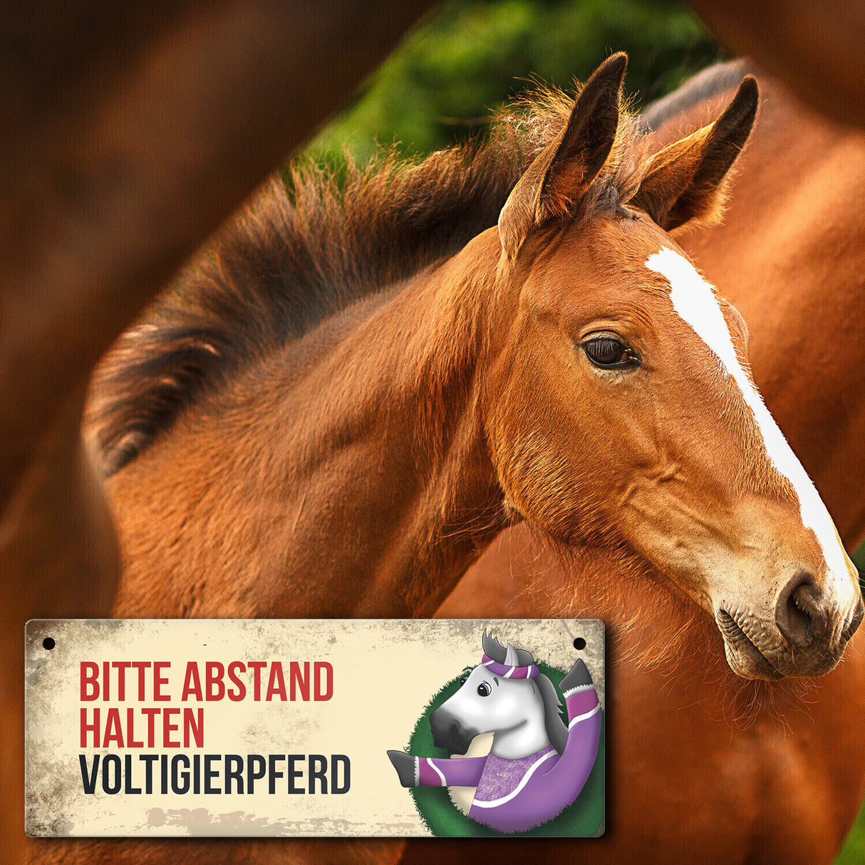 Metallschild mit weißem Voltigierpferd Motiv und Spruch: Bitte Abstand halten