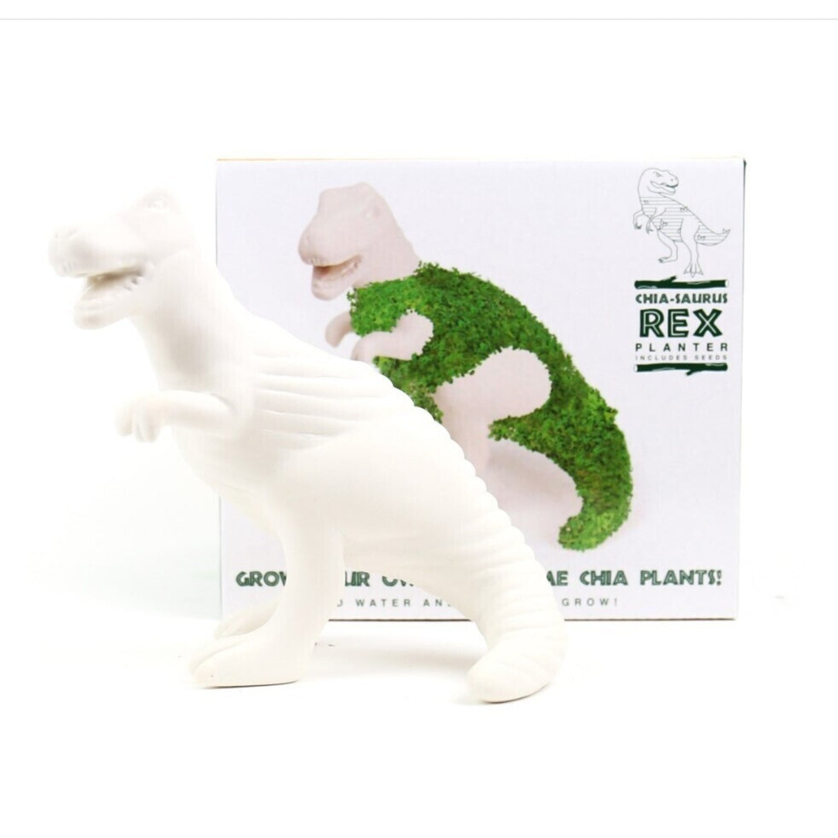 T-Rex Dino Blumentopf mit Chia Samen