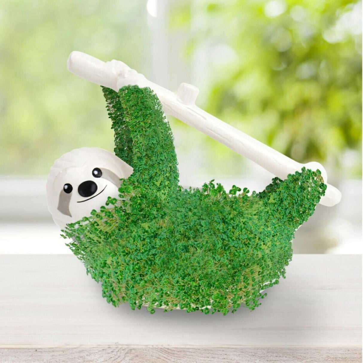 Faultier Blumentopf mit Chia Samen