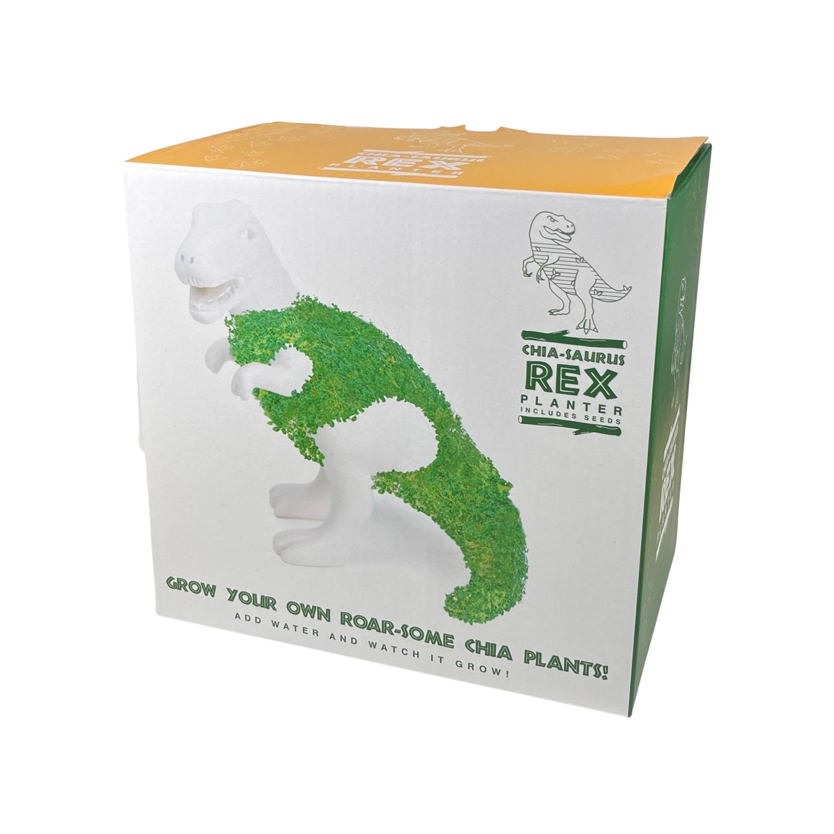 T-Rex Dino Blumentopf mit Chia Samen