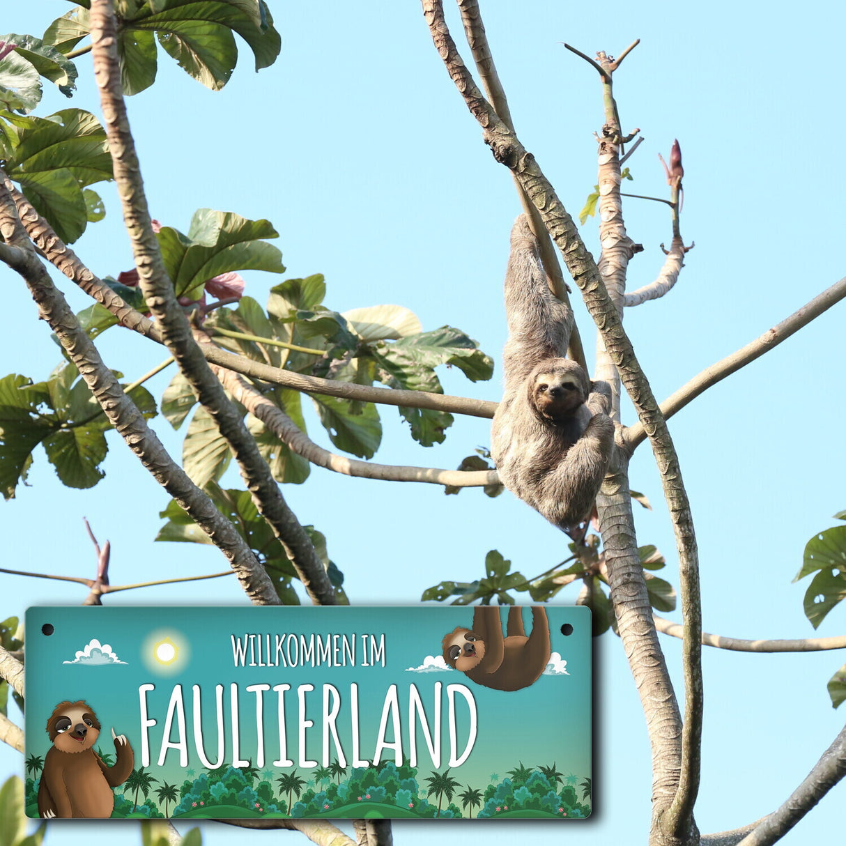 Metallschild mit Faultier Motiv und Spruch: Willkommen im Faultierland - Tschüss ...
