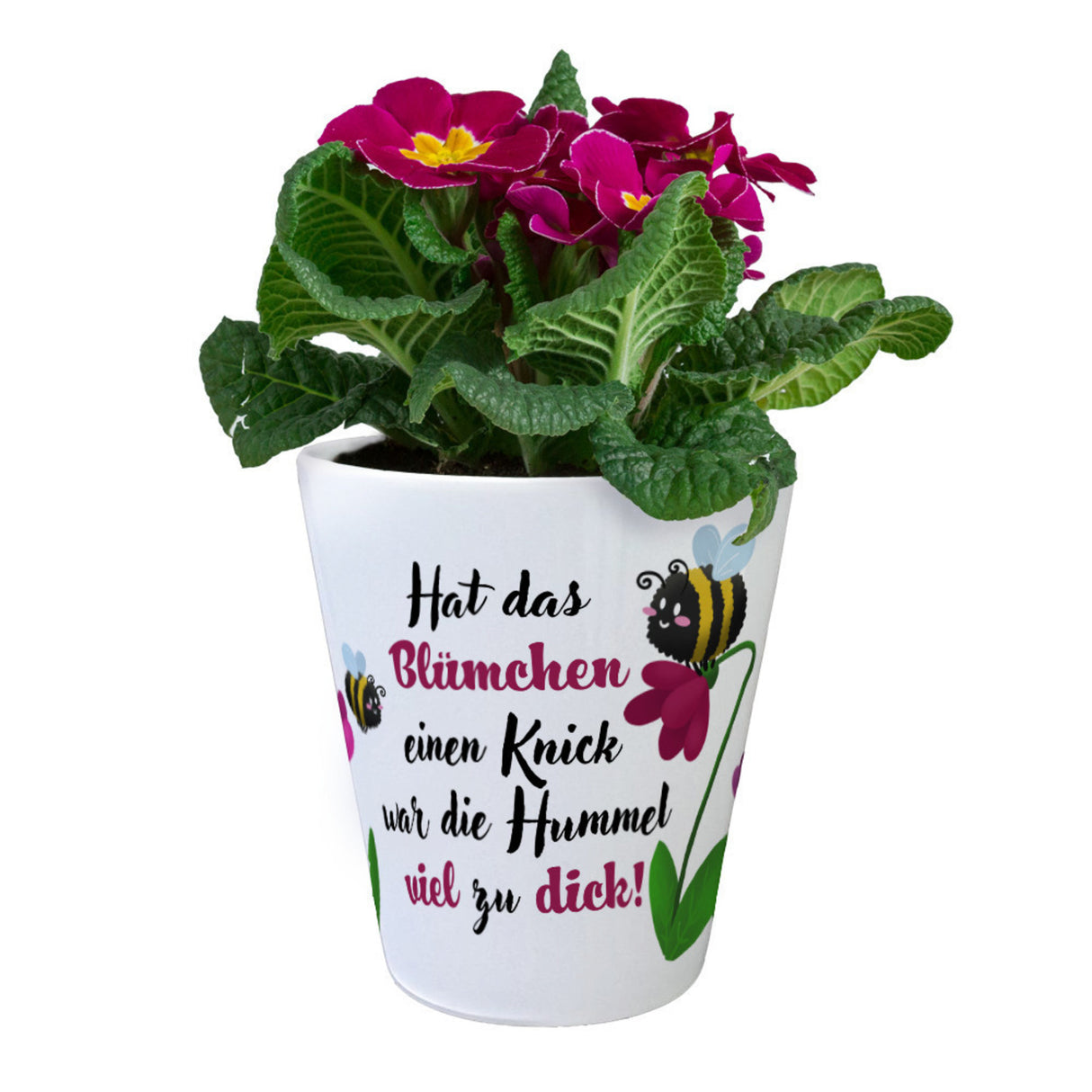 Hat das Blümchen einen Knick Blumentopf aus Keramik