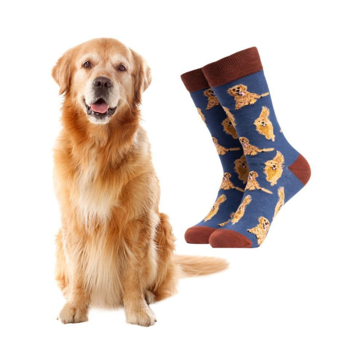 Golden Retriever Hund Soctopus Socken in 43-46 im Paar