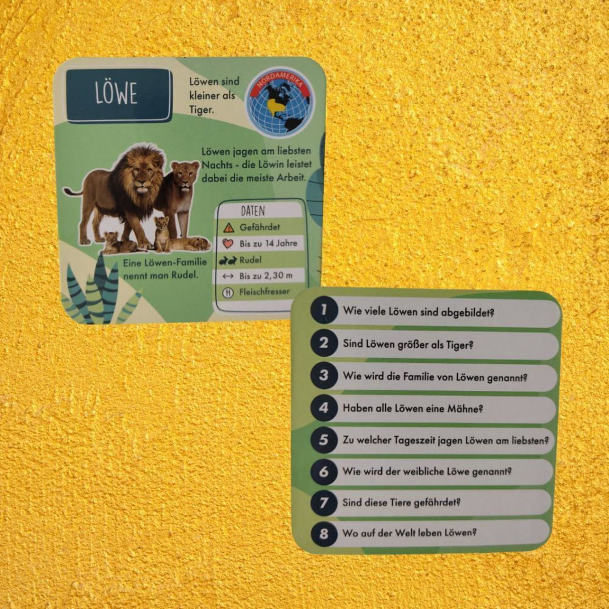 Tierisches Lernquiz Gesellschaftsspiel mit Sanduhr und Würfel
