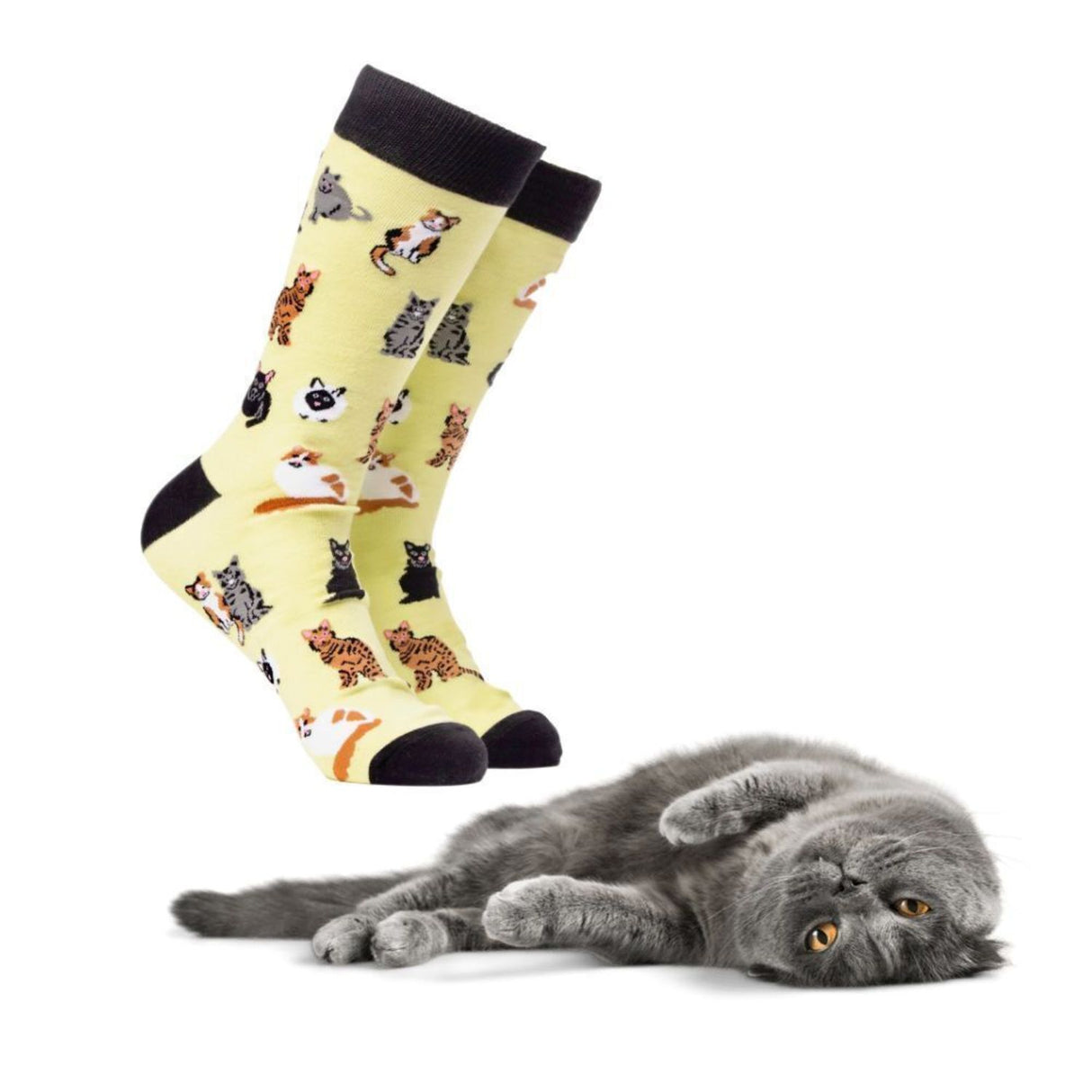 Katzenfreund Soctopus Socken in 43-46 im Paar