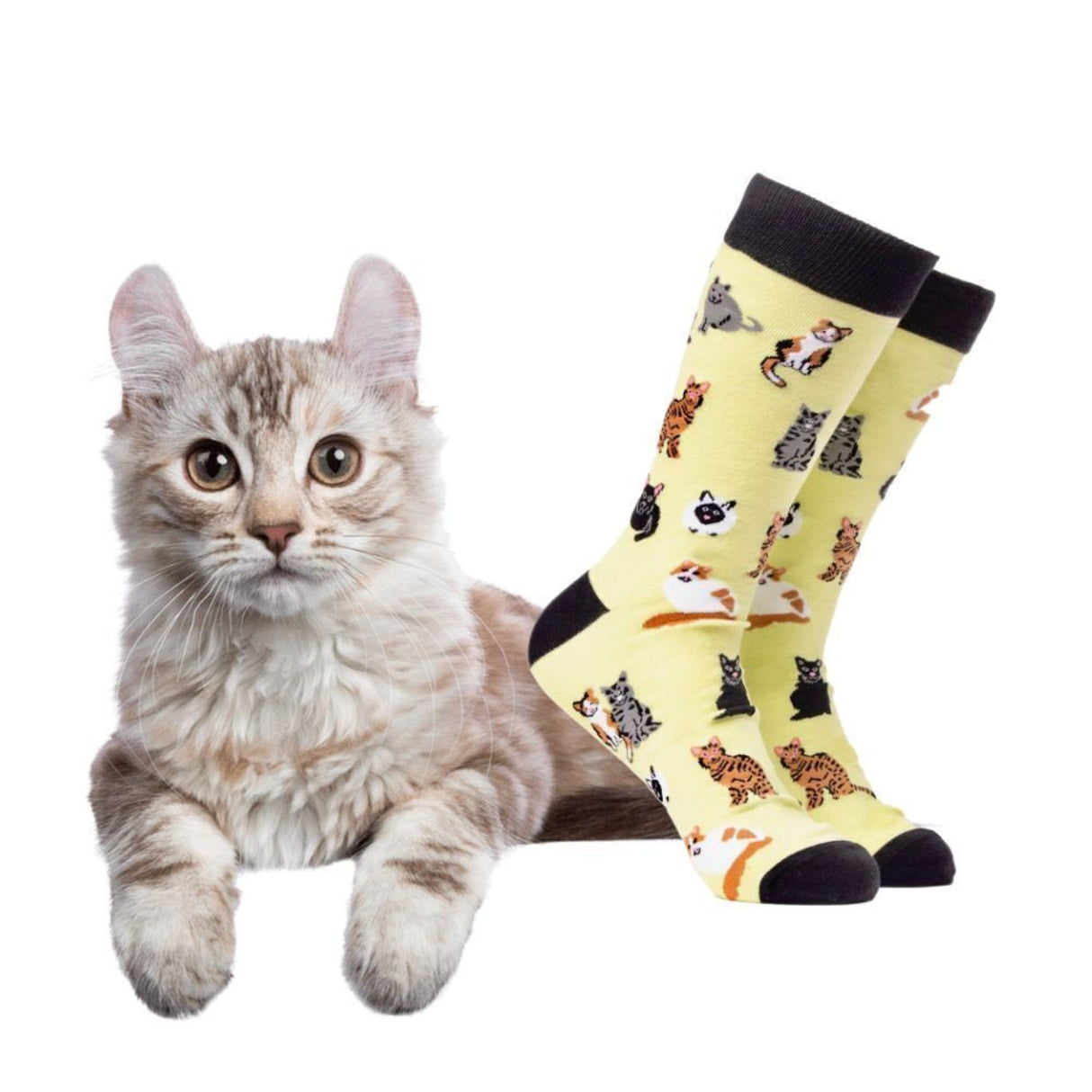 Katzenfreund Soctopus Socken in 43-46 im Paar
