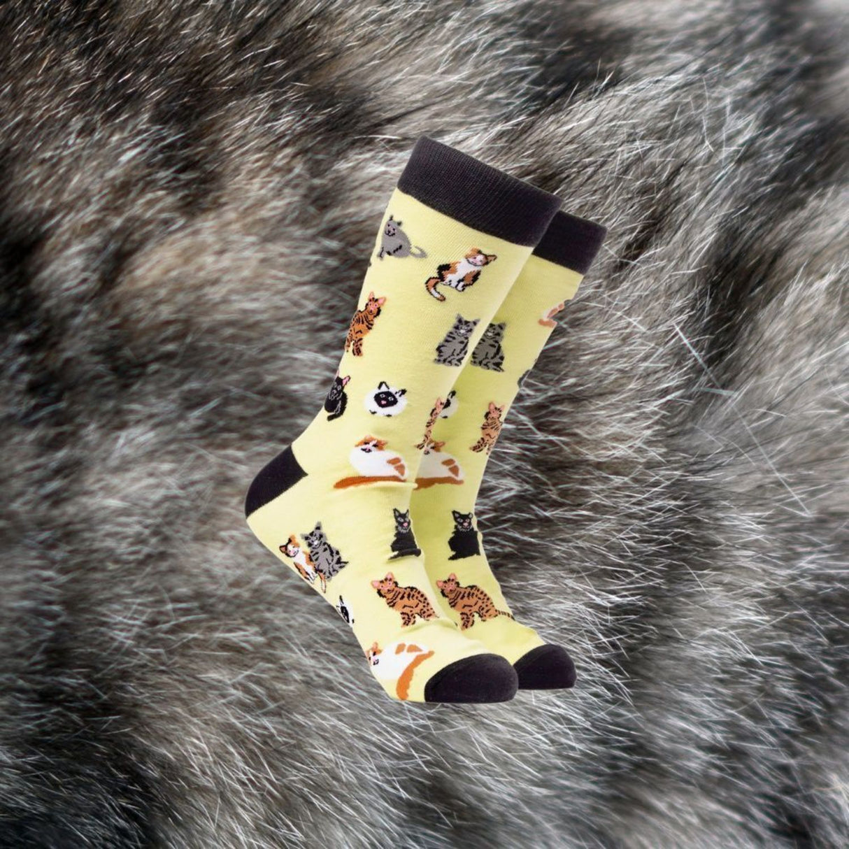 Katzenfreund Soctopus Socken in 43-46 im Paar