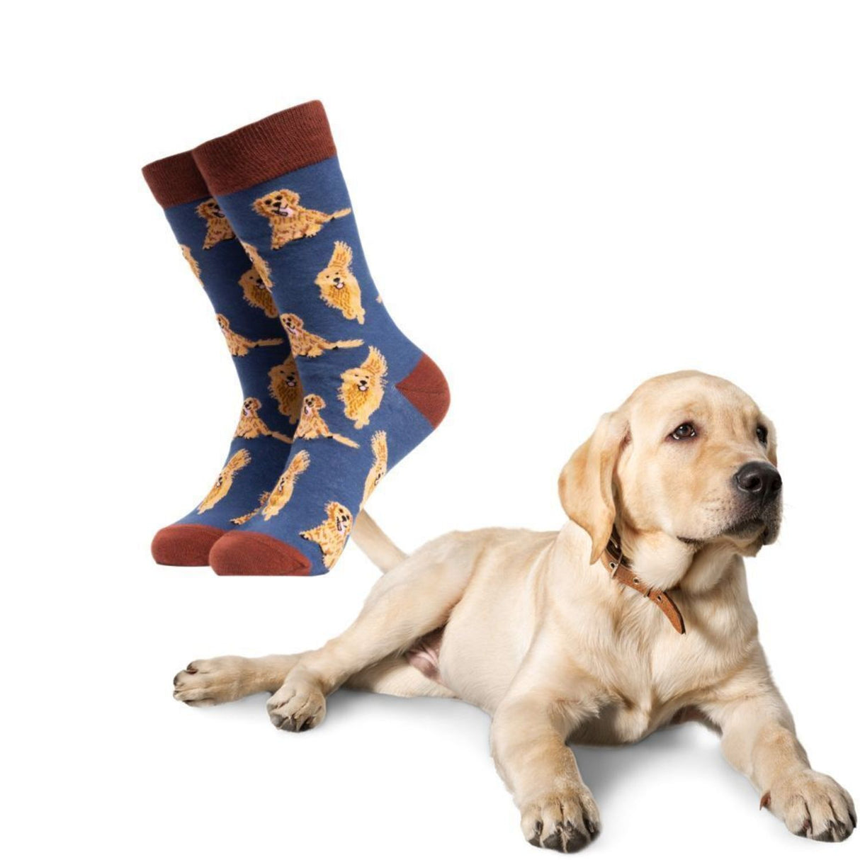 Golden Retriever Hund Soctopus Socken in 37-42 im Paar