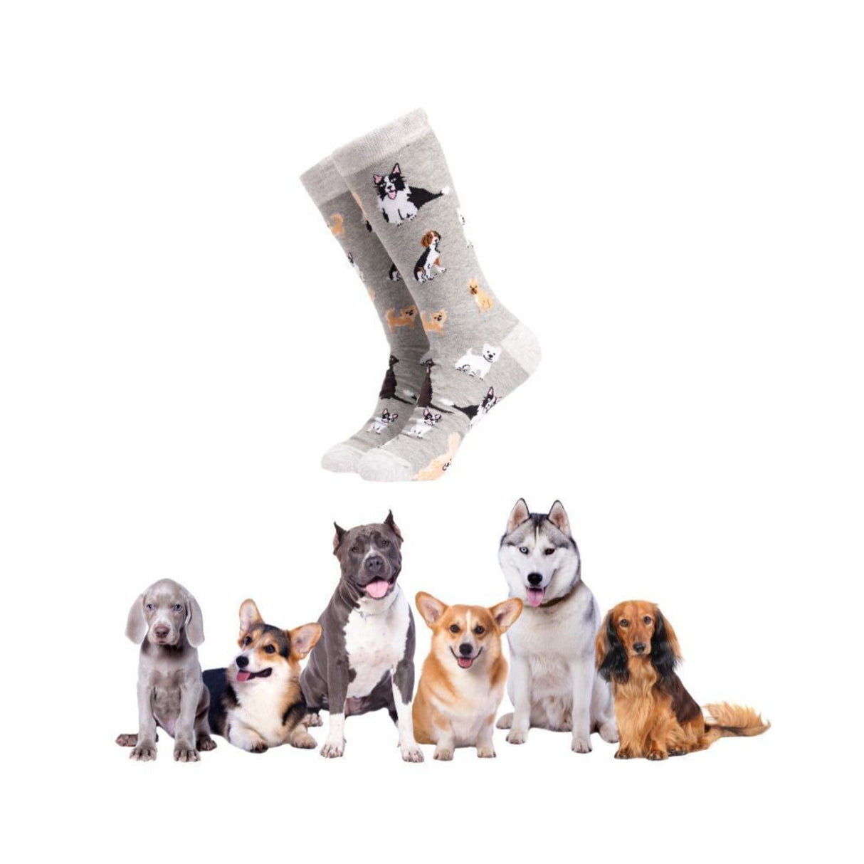 Hundefreund Soctopus Socken in 37-42 im Paar