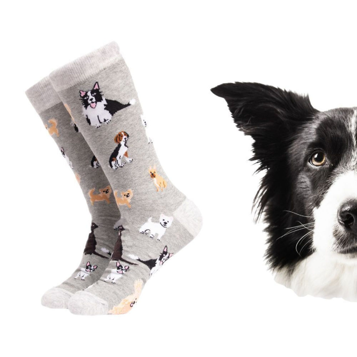Hundefreund Soctopus Socken in 37-42 im Paar