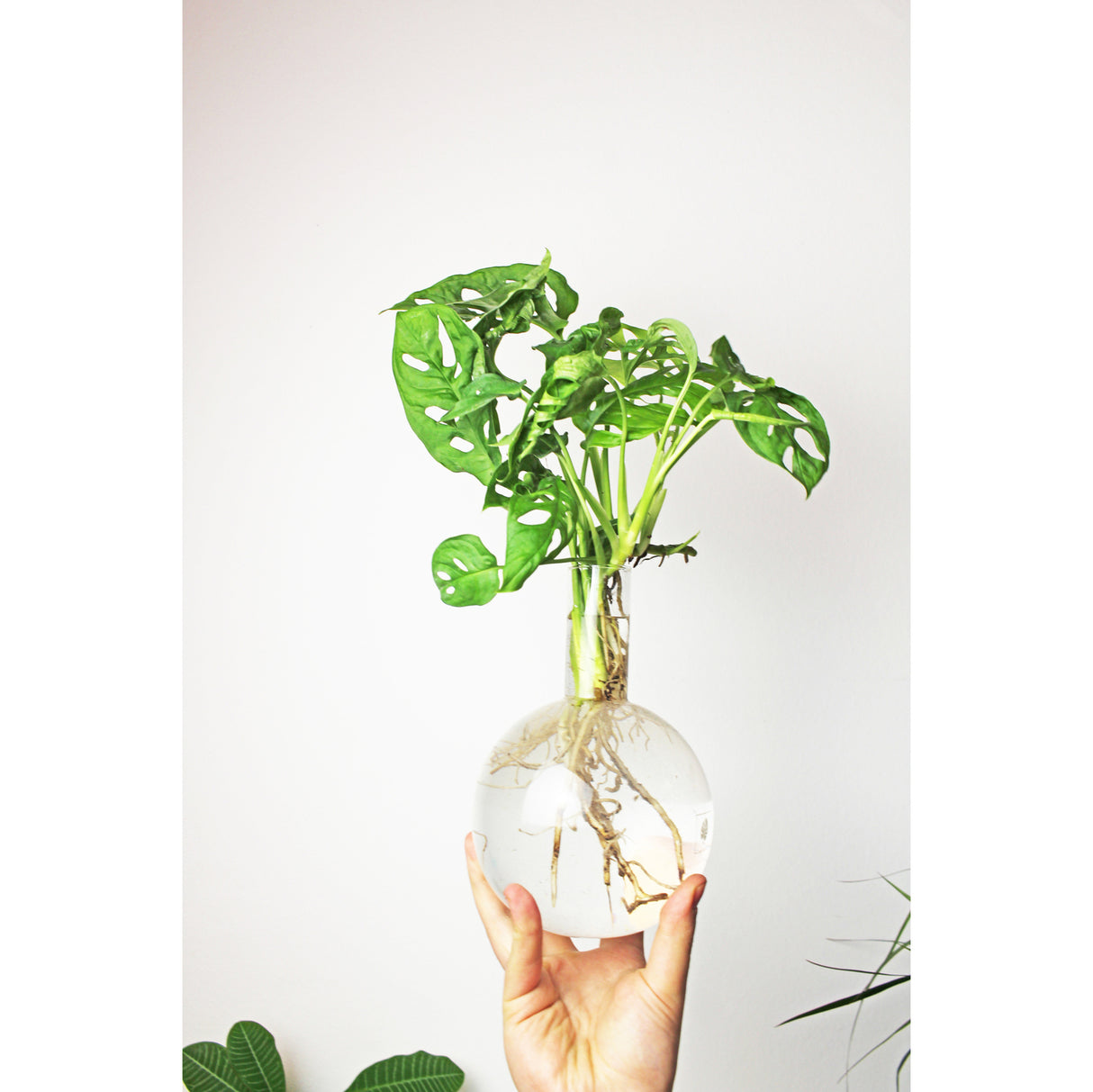 Flora Hydro Vase mit Metallständer