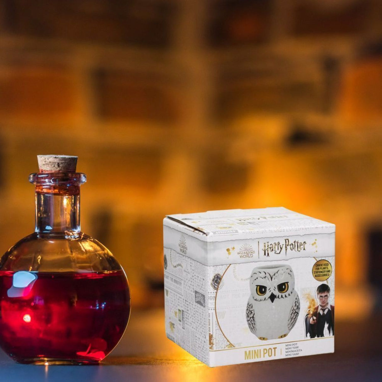Harry Potter Schneeeule Hedwig Stiftehalter für Pflanzen, Stifte oder Krimskrams