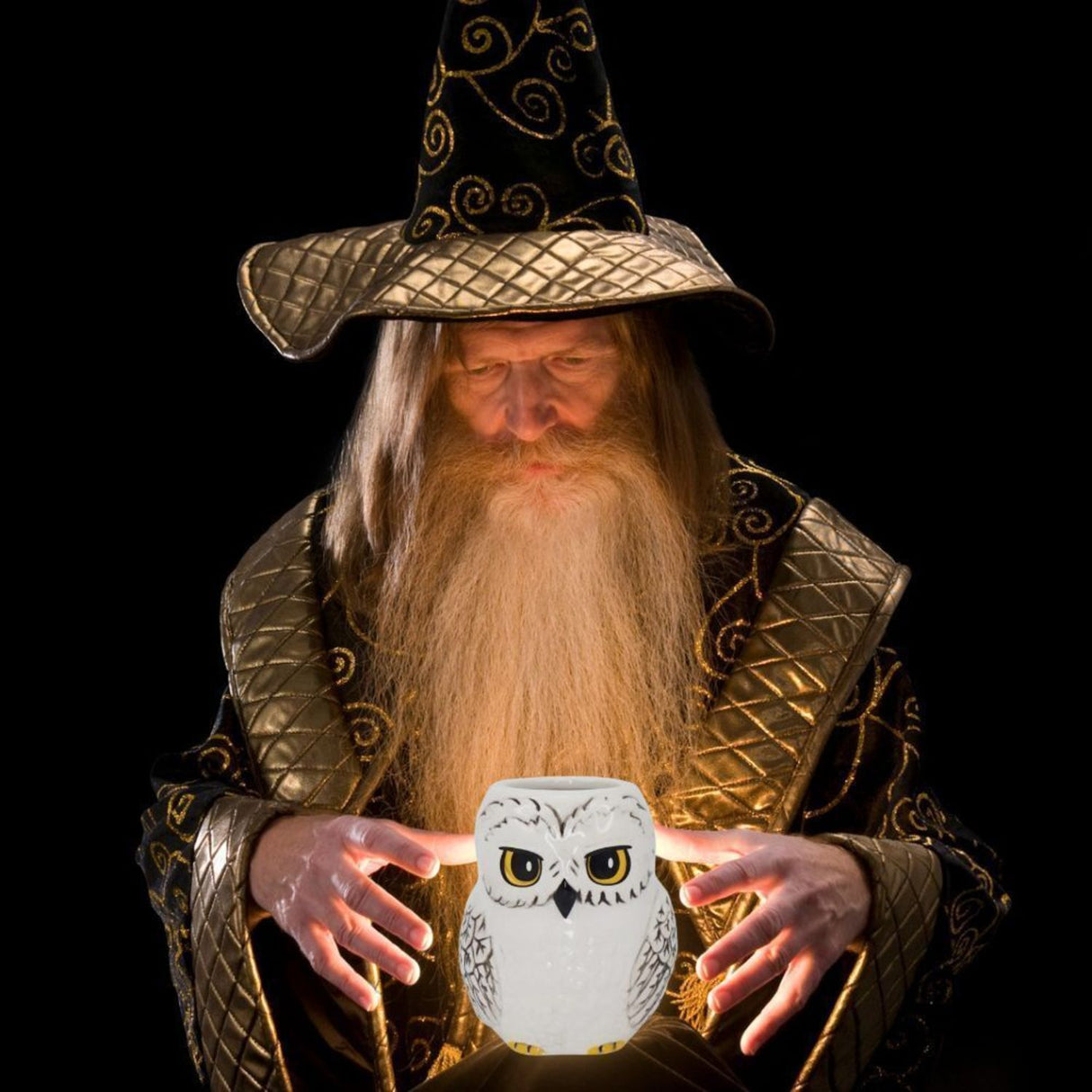Harry Potter Schneeeule Hedwig Stiftehalter für Pflanzen, Stifte oder Krimskrams
